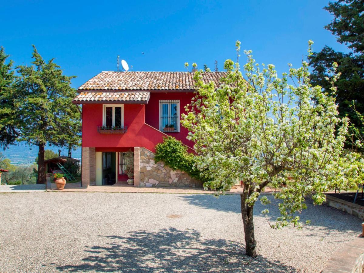 Holiday Home La Letizia By Interhome Collemancio Exterior photo